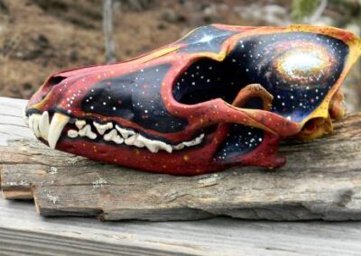 Space Coyote Skull