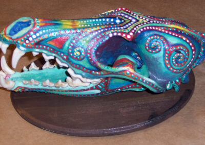 Coyote Skull