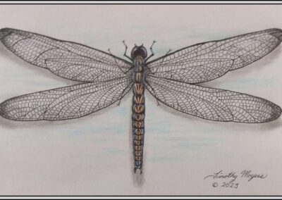 Dragonfly