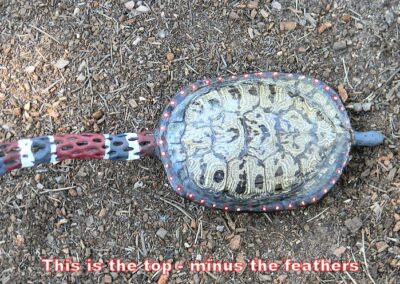Turtle Shell Rattle