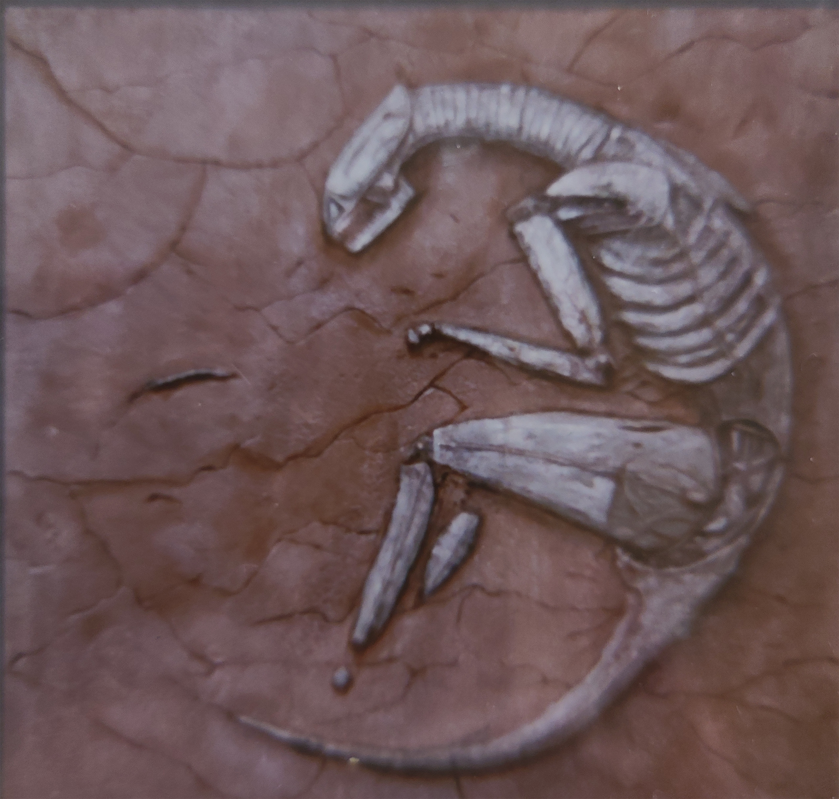 fossil sculpture painting