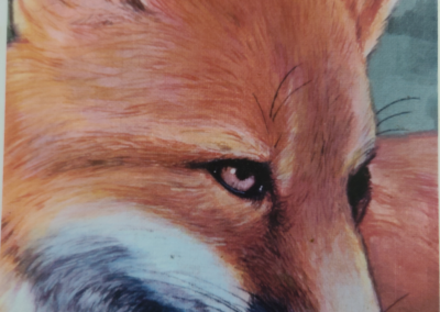 The Fox