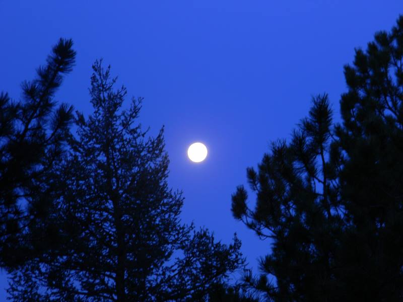 Moon over Florissant Colorado