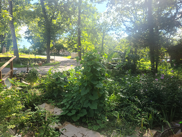 Gourds out front